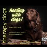 🌿 Μια Μοναδική Εμπειρία με τα Therapy Dogs, Παρά τις Καιρικές Προκλήσεις!